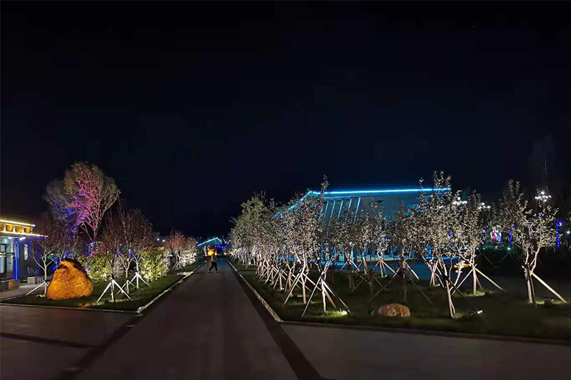 通榆公園亮化工程